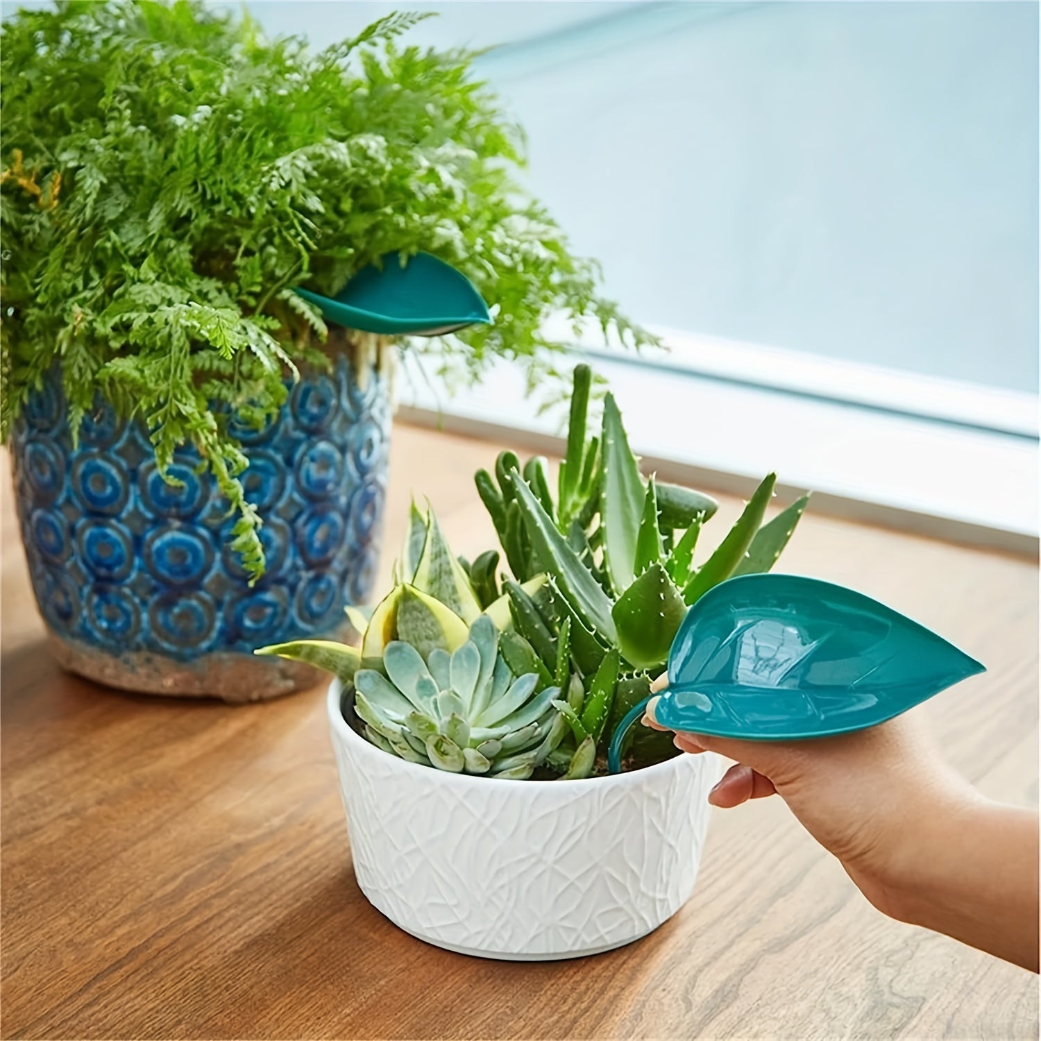 3-in-1 Plant Watering Set Spikes & Funnels for Indoor Plants