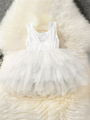 Girl's Lace Embroidered Princess Dress