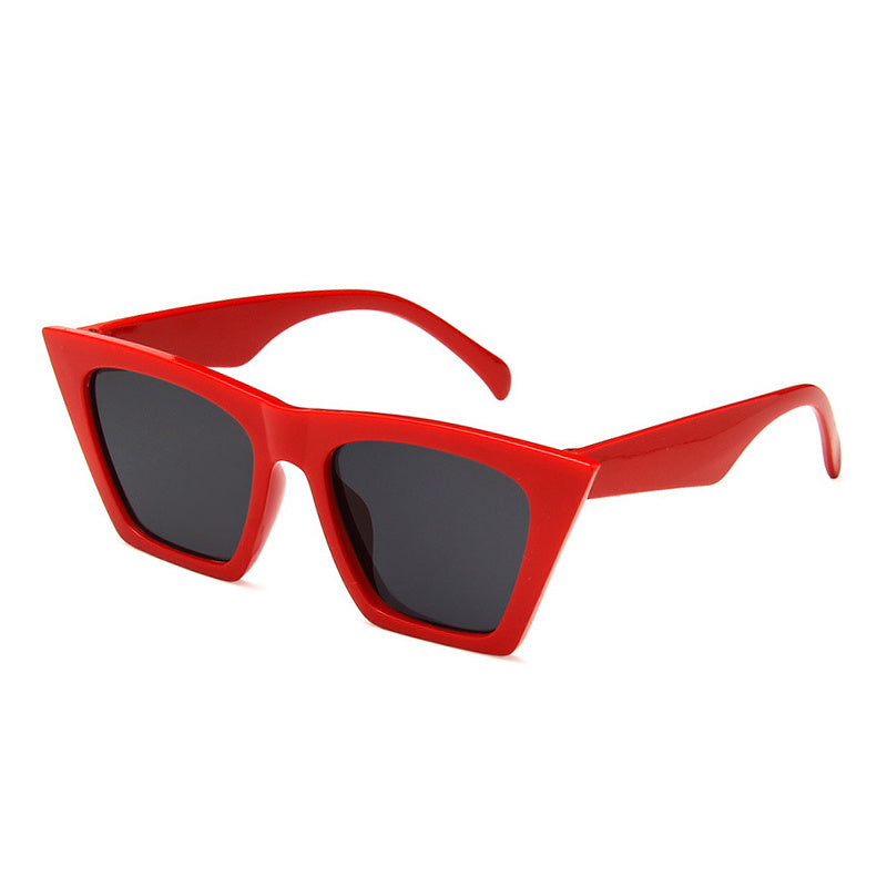 Casual Geometric Frame Sunglasses