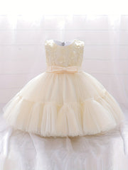 Baby Girls Floral Decor Bowknot Sleeveless Mesh Gown Princess Dress