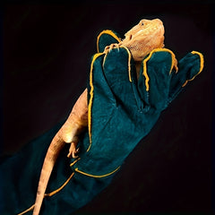 Bite Resistant Leather Dog Training Gloves - Protective Gloves