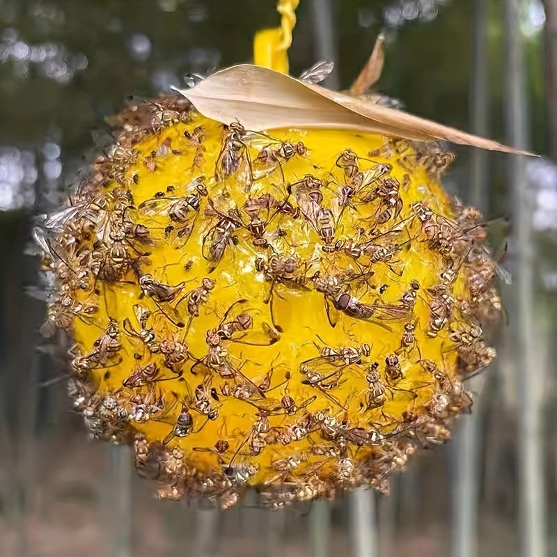 6 Pack Mosquito Fly Bait Balls for Indoor & Outdoor Pest Control