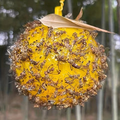 6 Pack Mosquito Fly Bait Balls for Indoor & Outdoor Pest Control