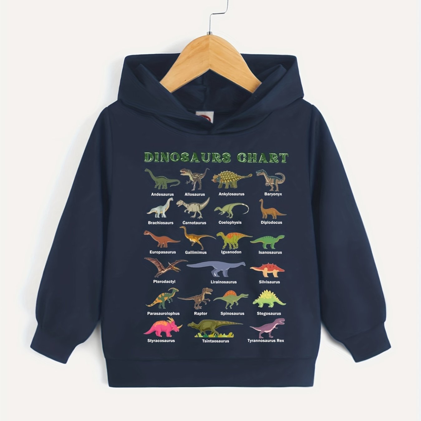 Dinosaurs Chart Boys Hooded Sweatshirt