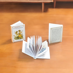 1/6 Scale Dioramas Kit with Book Set & Artworks