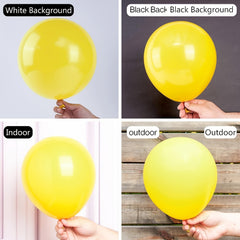 40 Yellow Party Balloons: 25 Balloons for Yellow Theme Party Decoration