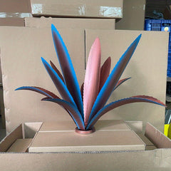 Iron Dragon Tongue Orchid Flower Plant Outdoor Garden Decoration