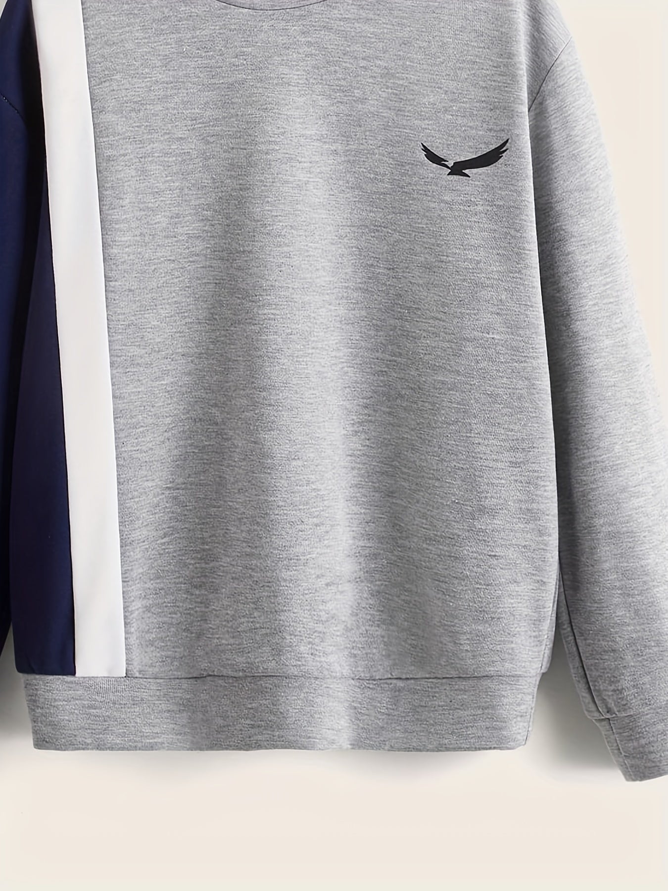 Boys Stylish Eagle Print Sweatshirt Long Sleeve Crew Neck Top