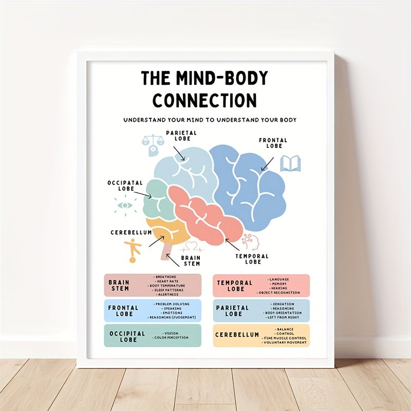 Brain Anatomy Poster Stress Management Emdr Cbt Fight Flight