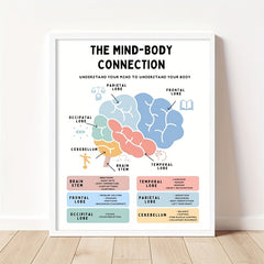 Brain Anatomy Poster Stress Management Emdr Cbt Fight Flight