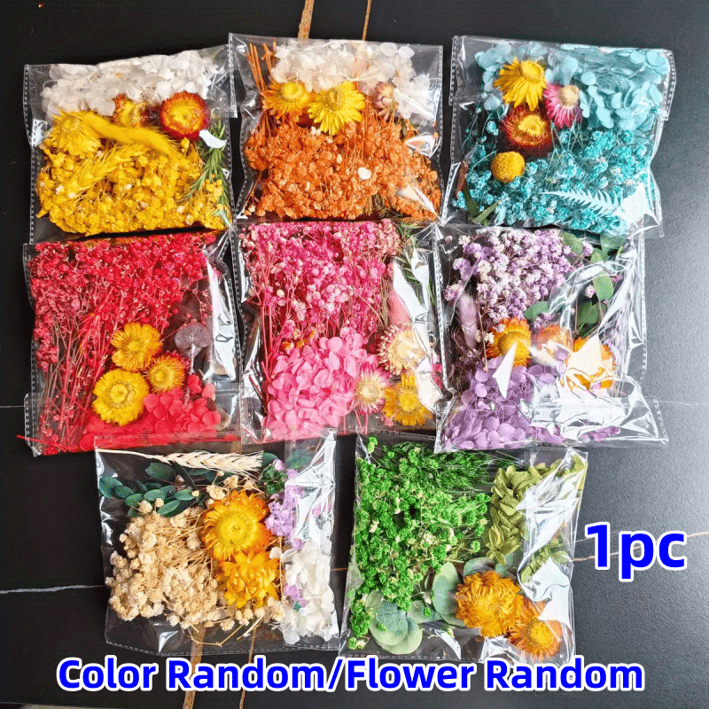 20-25g Dry Flower Eternal Flower Material Pack DIY Picture Frame Sticker & Fan