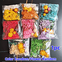 20-25g Dry Flower Eternal Flower Material Pack DIY Picture Frame Sticker & Fan