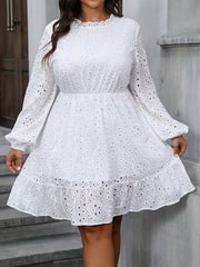 Eyelet Embroidery Lantern Sleeve Mini Dress