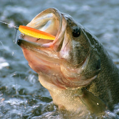 50pcs Soft Fishing Lure 50pcs Paddle Tail Swimbaits