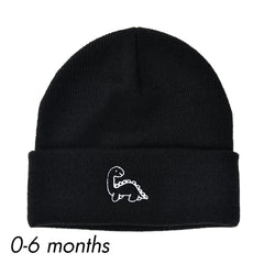 Colorful Selection Beanie Knit Winter Hat for Boys Girls