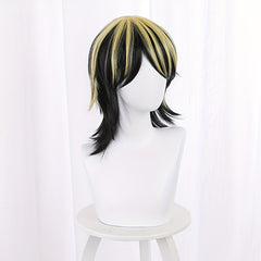 Anime Cosplay Wig Heat Resistant Synthetic Short Wigs