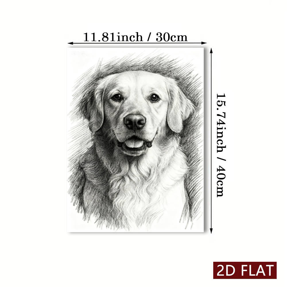 img_5171485