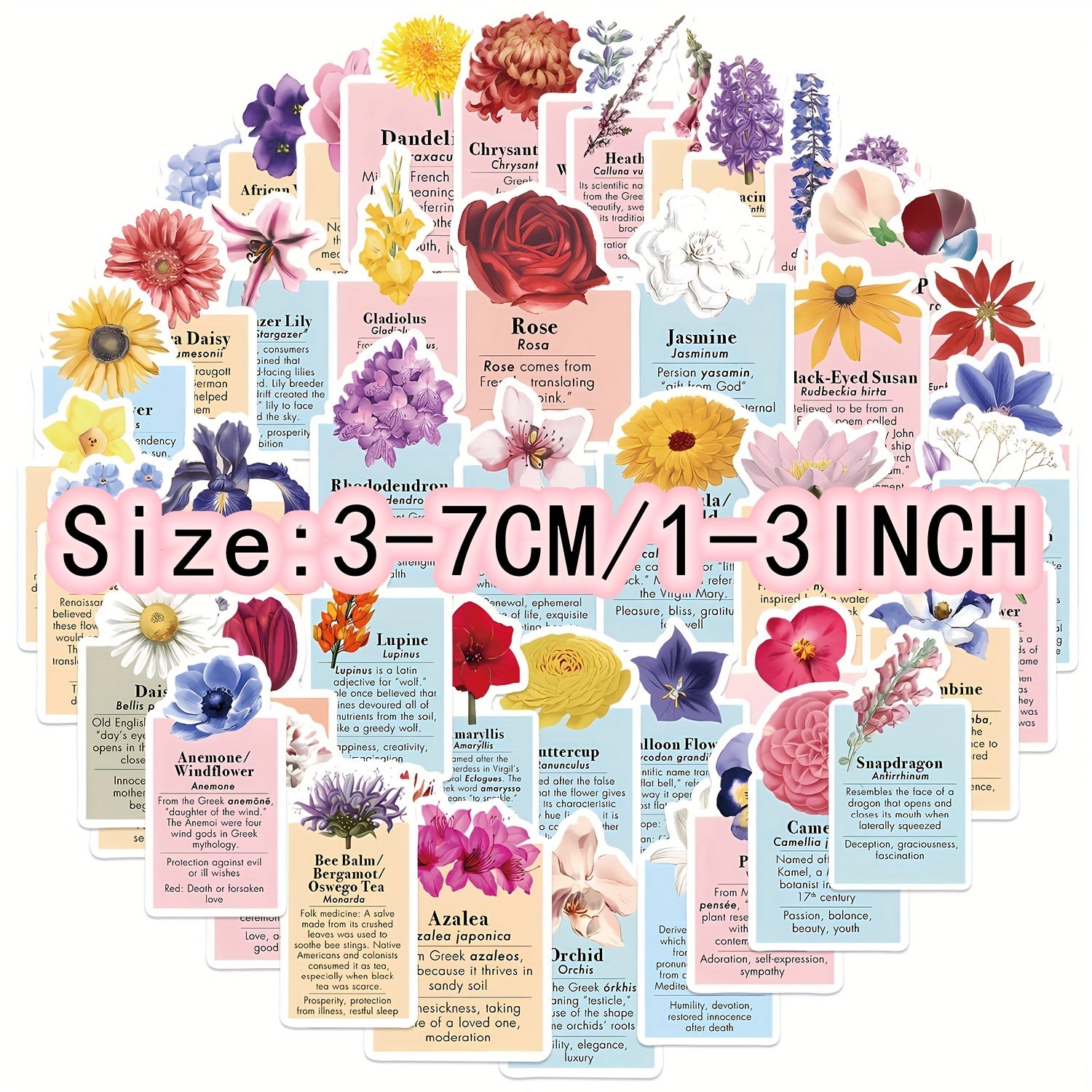 50pcs Flower Language Label Graffiti Stickers for DIY Water Cup Laptop Helmets