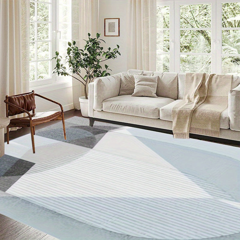 Soft Fluffy Plush Area Rug Modern Shaggy Indoor Rug Anti Skid Fuzzy Carpet