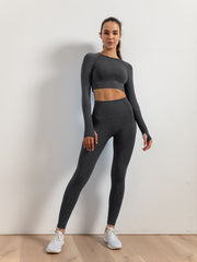 Stylish 2 Piece Yoga Suit Push Up Leggings & Long Sleeve Top