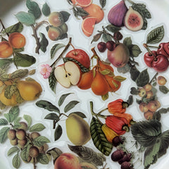 40pcs Plant Fruit PET Stickers for DIY Decoration Scrapbooking Supplies