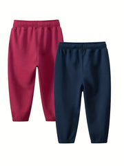 2pcs Dinosaur Print Boys Casual Sweatpants Quick Drying Jogger Sports Pants