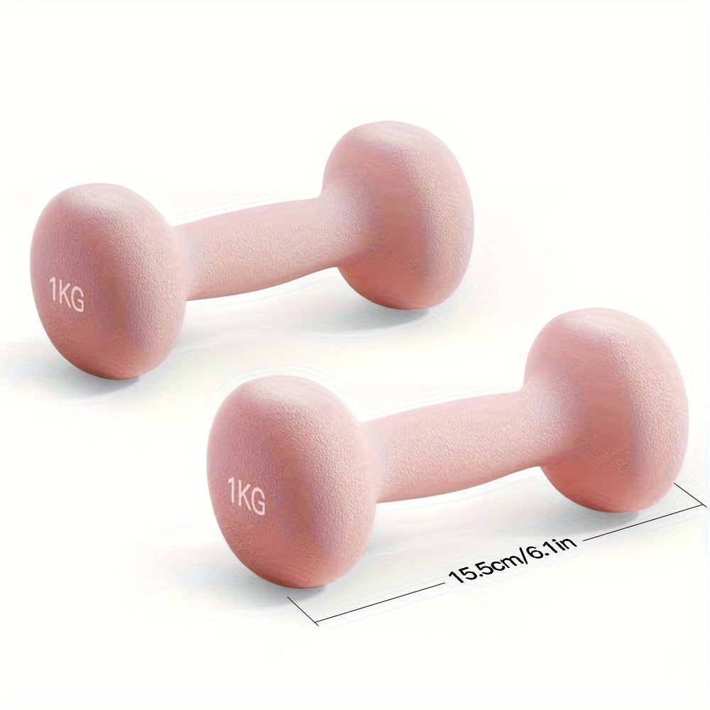 Solid Iron Dumbbell Pair for Home & Outdoor Training