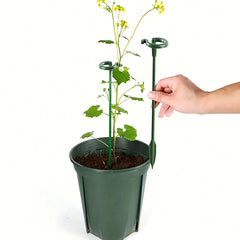 4pcs Phalaenopsis Flower Stands Leaf Protection Branch Protection