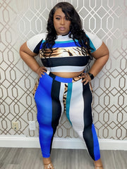 Colorblock Leopard Print Crop Top & Leggings Set