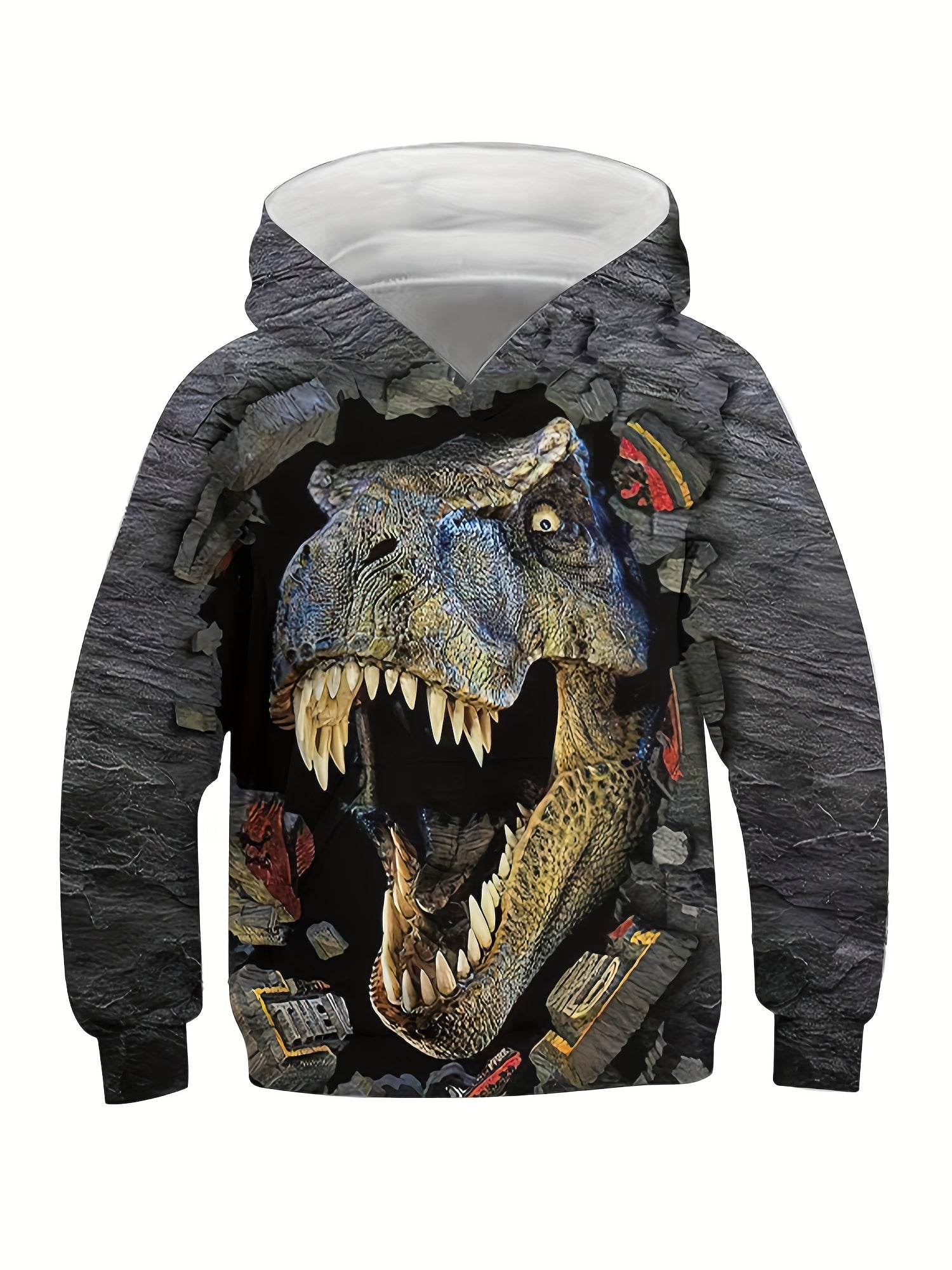 3D Dinosaur & Broken Brick Print Kid's Hoodie Pullover for Spring Fall Winter