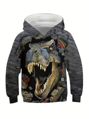3D Dinosaur & Broken Brick Print Kid's Hoodie Pullover for Spring Fall Winter