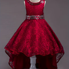 Girls Sleeveless Puffy Princess Dress Tulle Lace Beaded Rhinestone