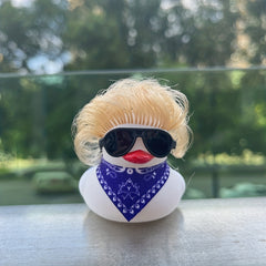 2 Pcs Duck With Hair DIY Toys For Home And Car Decor