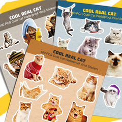 100pcs Cat Stickers Waterproof Vinyl Water Bottle Laptop Phone
