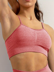Women's 2pc Sports Suit High Waist Shorts + Bra