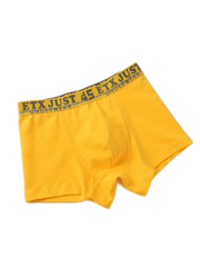 5pcs Boys Letter Tape Boxer Briefs Soft Cotton Underwear