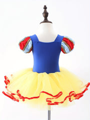 Girls Princess Tulle Tutu Mesh Puff Sleeves Ballet Dance Dress Leotards