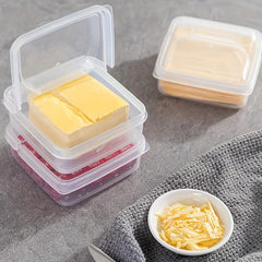 Butter Cheese Storage Box Portable Refrigerator Fresh Organ