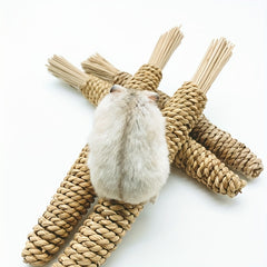 Chew Toys for Small Pets Water Grass Radish