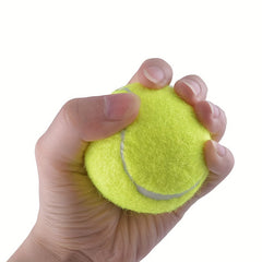 3pcs High Elastic Tennis Ball Durable Training Tennis For Beginners