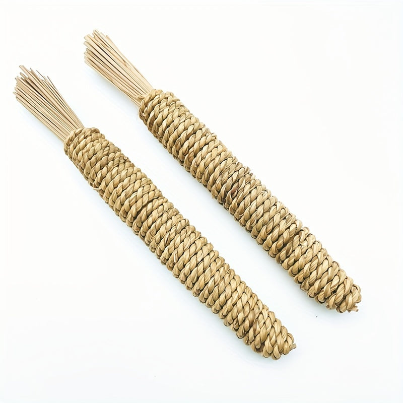 Chew Toys for Small Pets Water Grass Radish