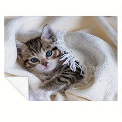 Kitten Blanket Warm Flannel Soft Plush Blanket For Outdoor Travel