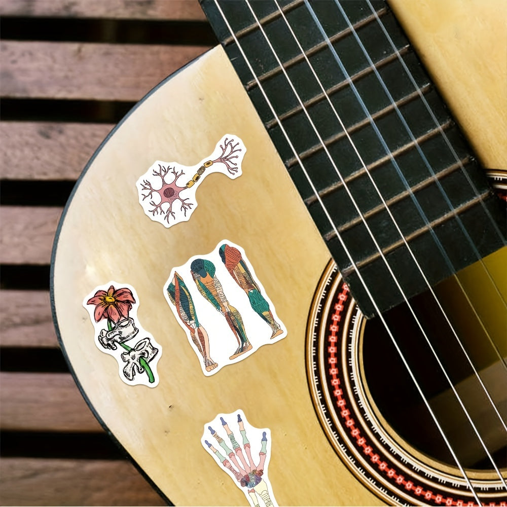 50pcs Anatomy Organ Doodle Stickers for Guitar Laptop Water Cup Luggage Helmet