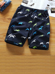 Quick Dry Mesh Lining Drawstring Men's Swim Trunks