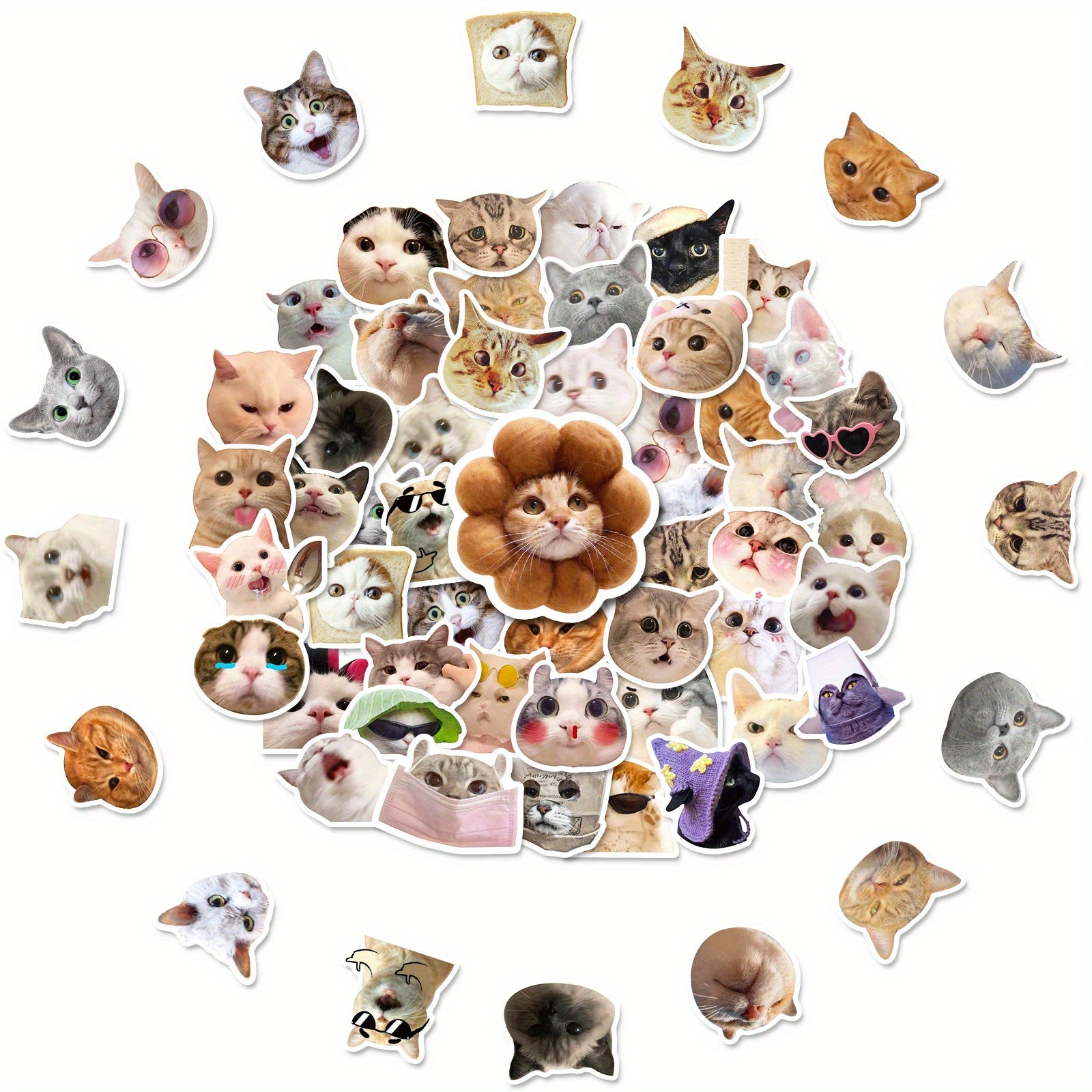 50PCS Cat Waterproof Stickers Vinyl Stickers for Water Bottle Laptop Phone Skate