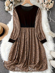 Leopard Print Long Sleeve Round Neck Dress