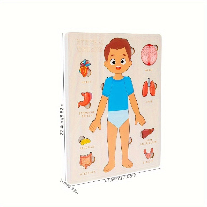 Wooden Human Body Puzzle Toy Educational Gift for Kids