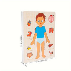 Wooden Human Body Puzzle Toy Educational Gift for Kids