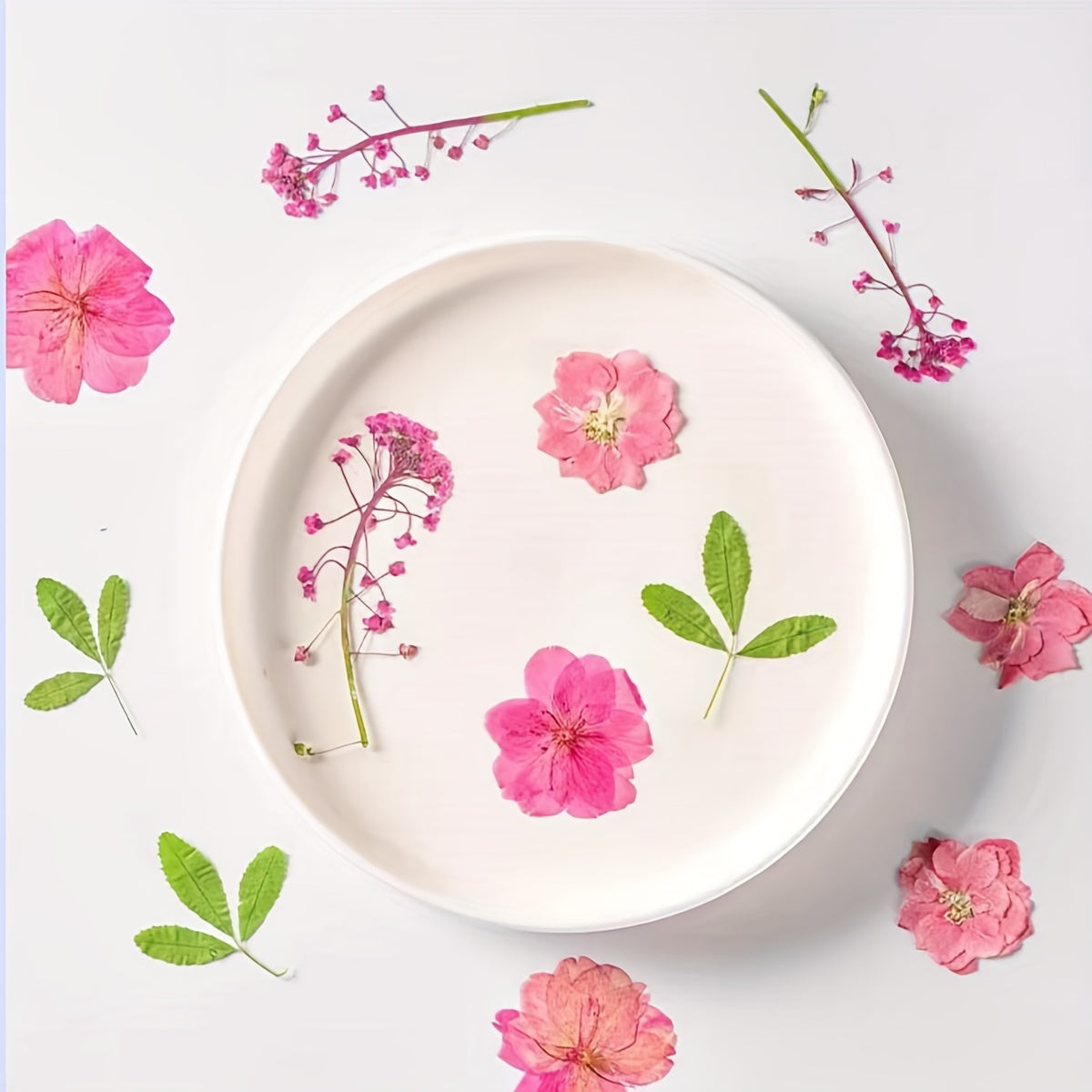12pcs Resin Fillers Dry Flowers Natural Plant Embossed Dry Flowers Collection