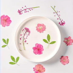 12pcs Resin Fillers Dry Flowers Natural Plant Embossed Dry Flowers Collection